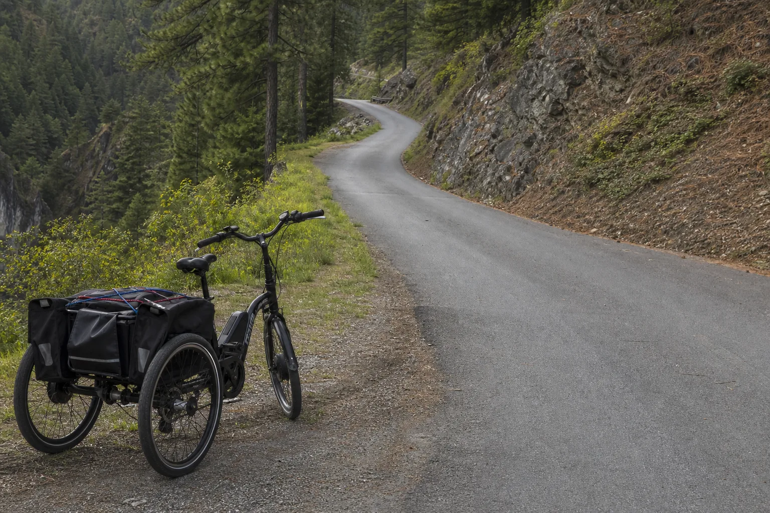 Loaded trike, one steep hill. How much motor you actually need